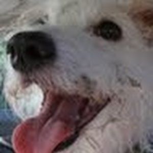 Meet your Posher, Francesca